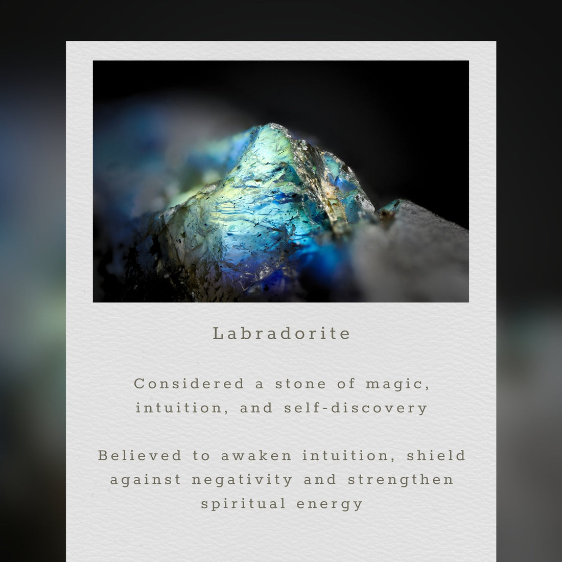 Labradorite Reign Necklace