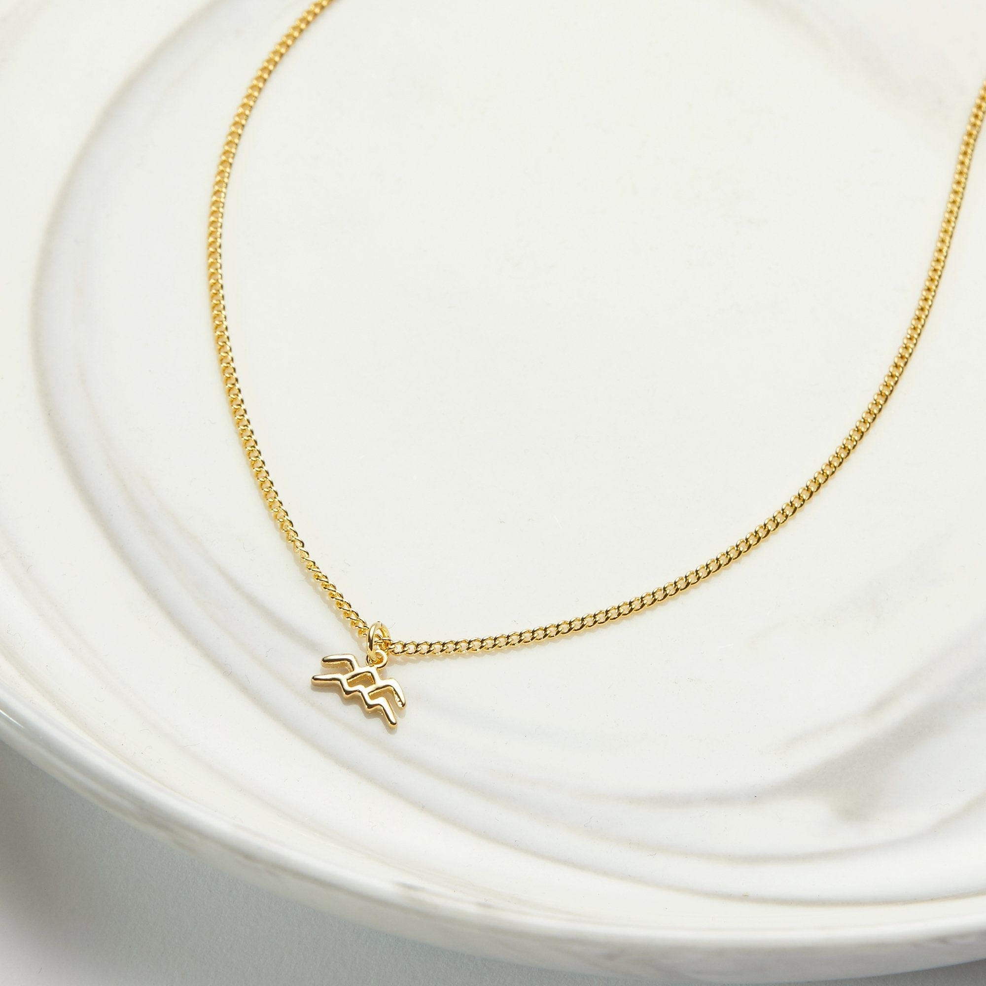 February 15th Aquarius Necklace