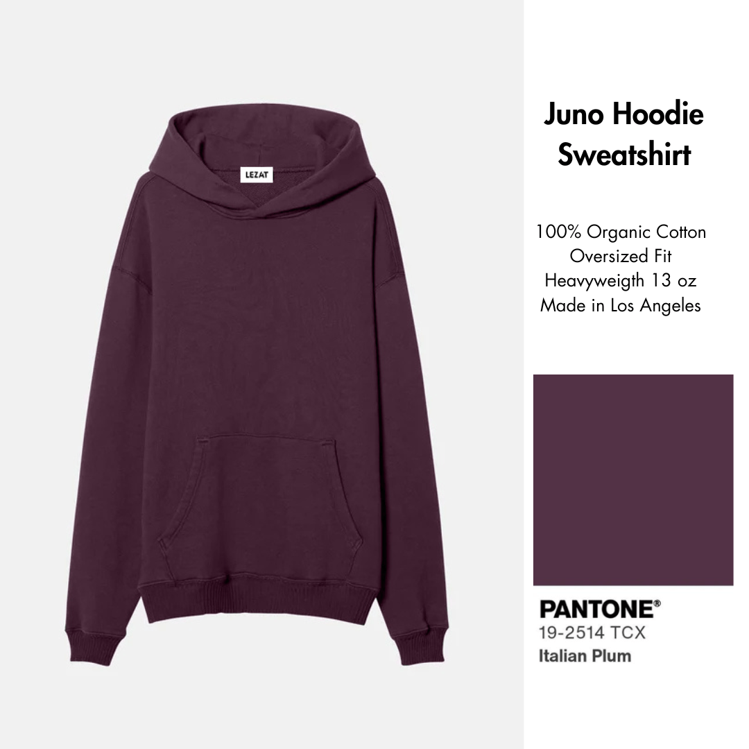 Juno Organic Cotton Oversized Heavyweight Hoodie Sweatshirt
