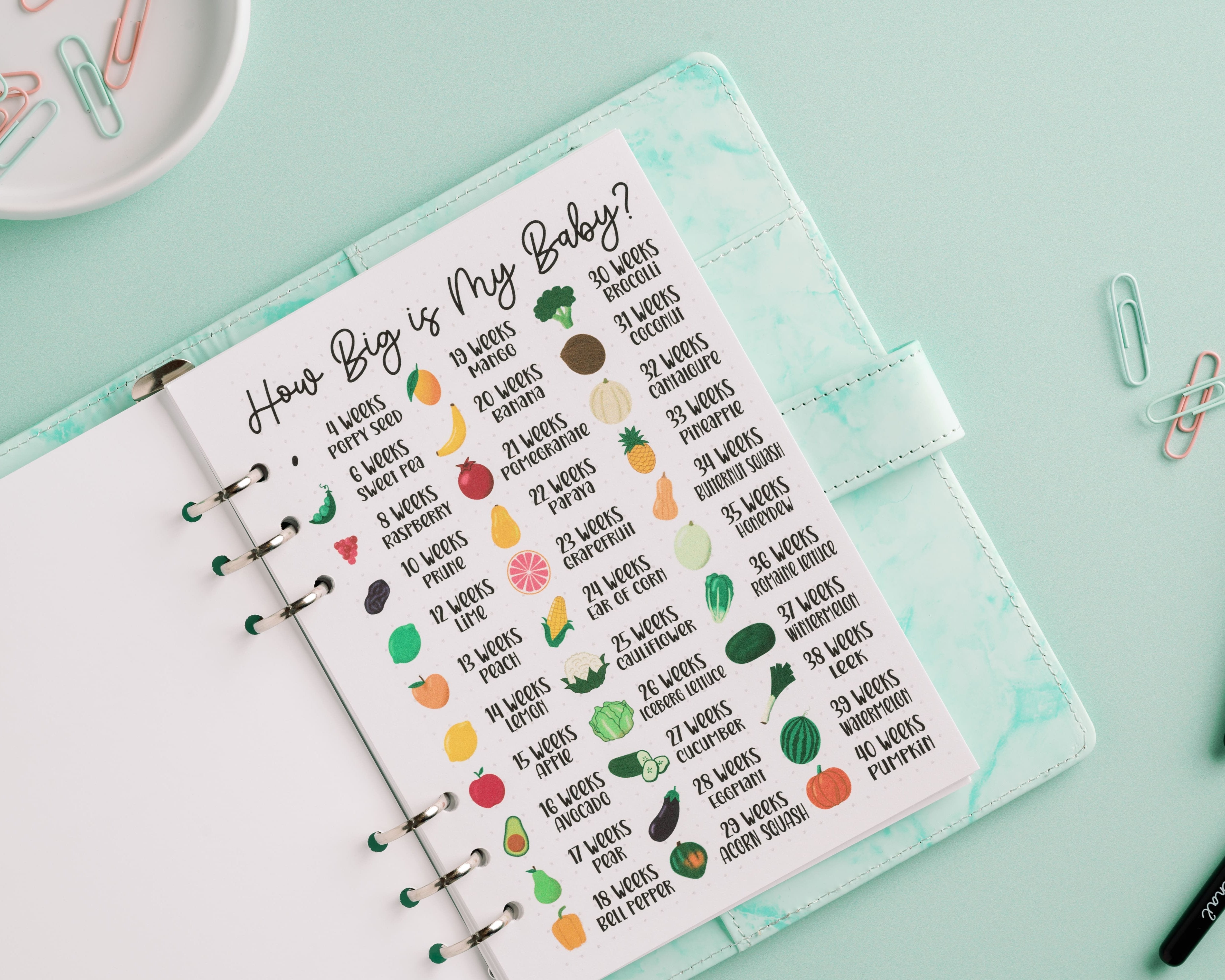 Gingham Journal Cover